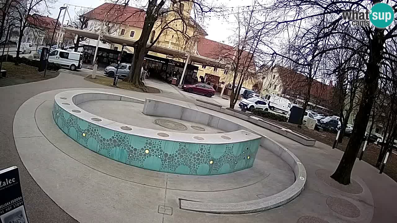 Spletna kamera Fontana Piv – Zeleno zlato Žalec