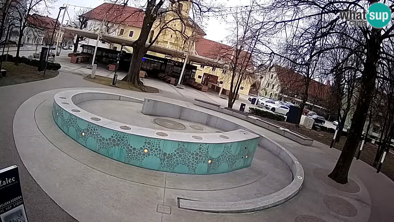 Web kamera Fontana piva – Zeleno zlato – Žalec