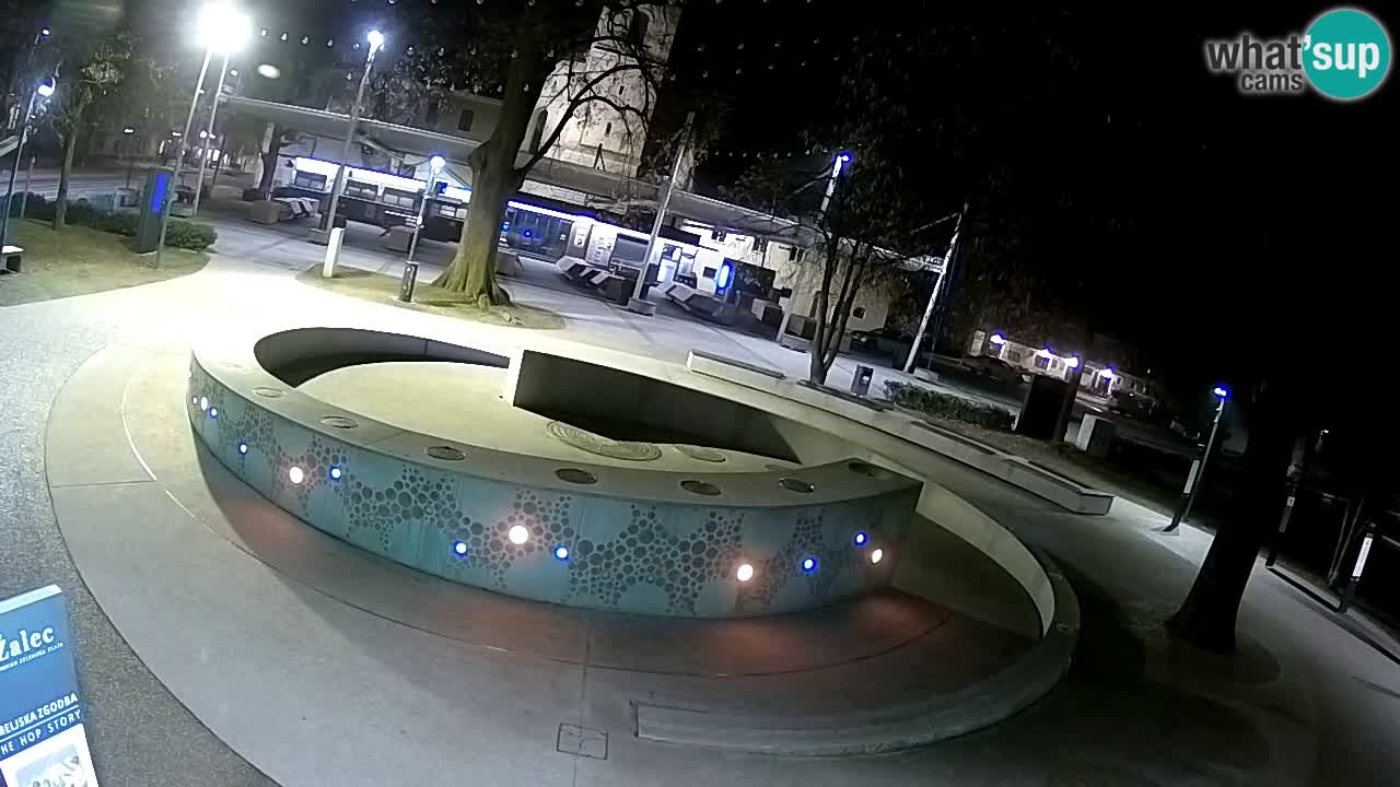 LIVEcam Beer fountain – Green Gold – Žalec – Slovenia