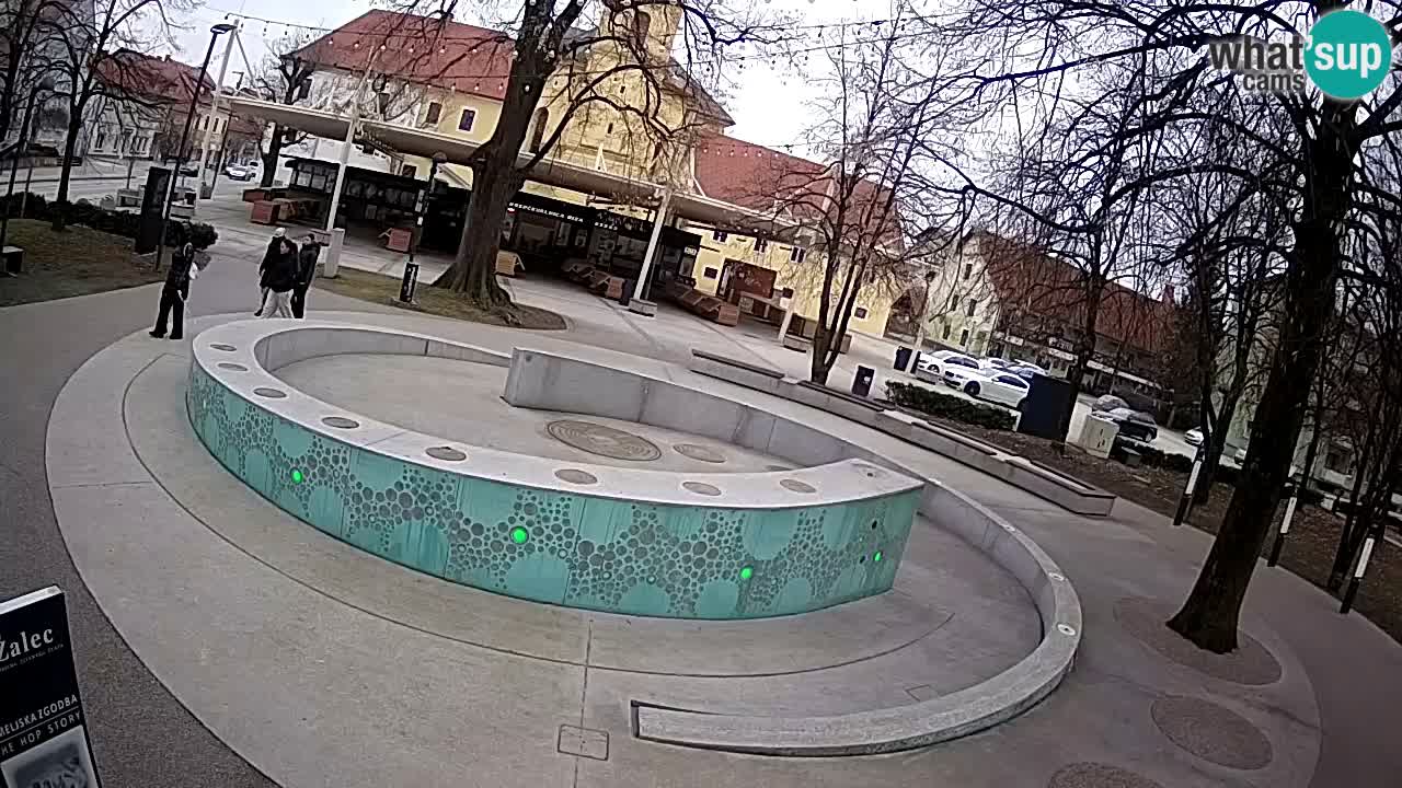 Bier-Springbrunnen Webcam Žalec – Grünen Goldes