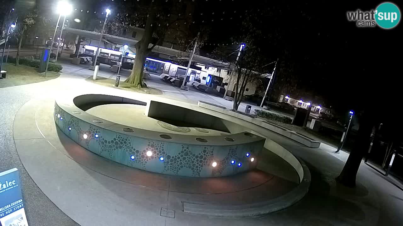 Camera en vivo Fuente de cerveza – Oro verde – Žalec