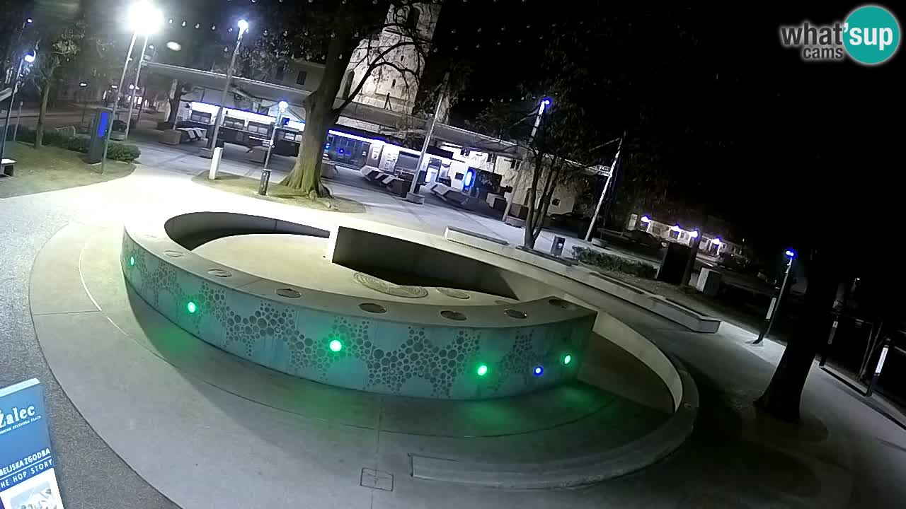 Fontaine à bière LIVE webcam – Or vert – Žalec