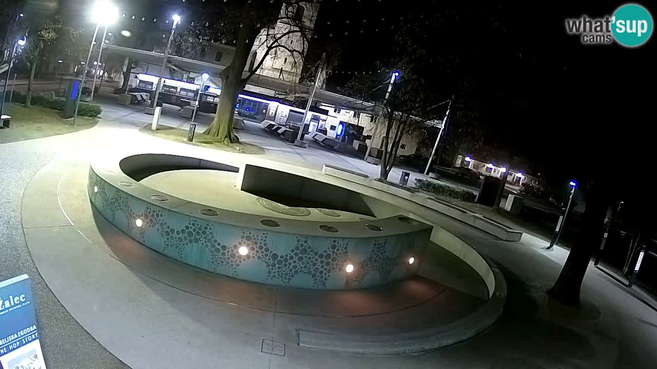 Fontaine à bière LIVE webcam – Or vert – Žalec