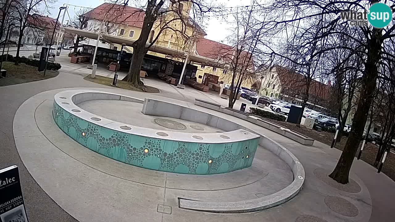 Fontaine à bière LIVE webcam – Or vert – Žalec