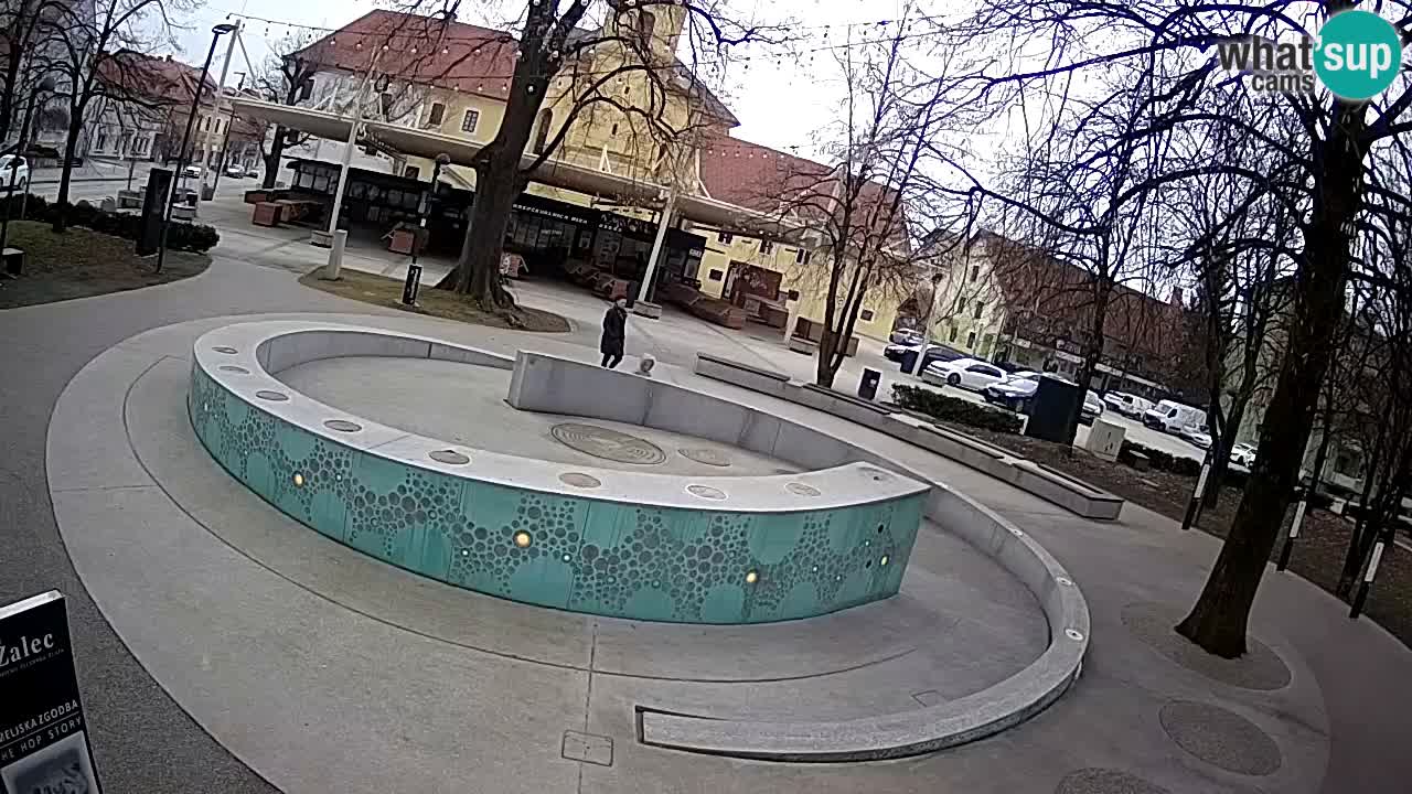 Camera en vivo Fuente de cerveza – Oro verde – Žalec