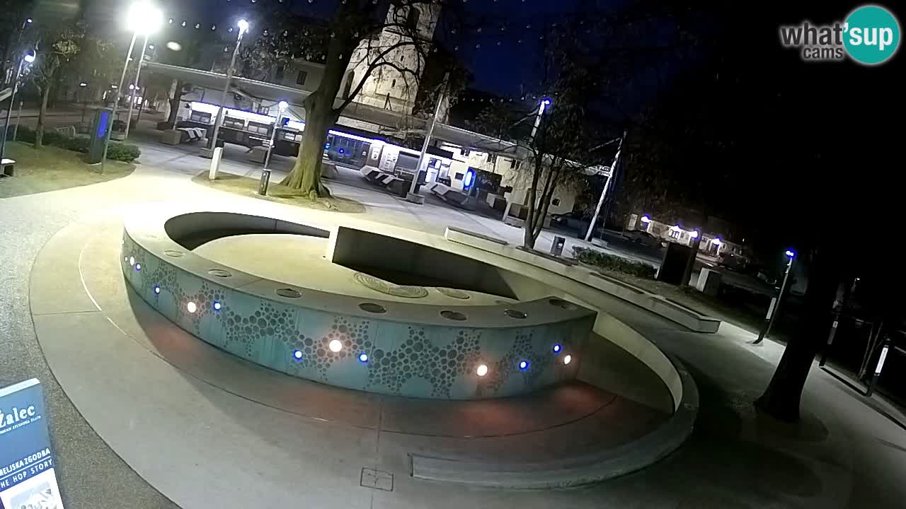 Fontana di birra Webcam – Oro verde – Žalec