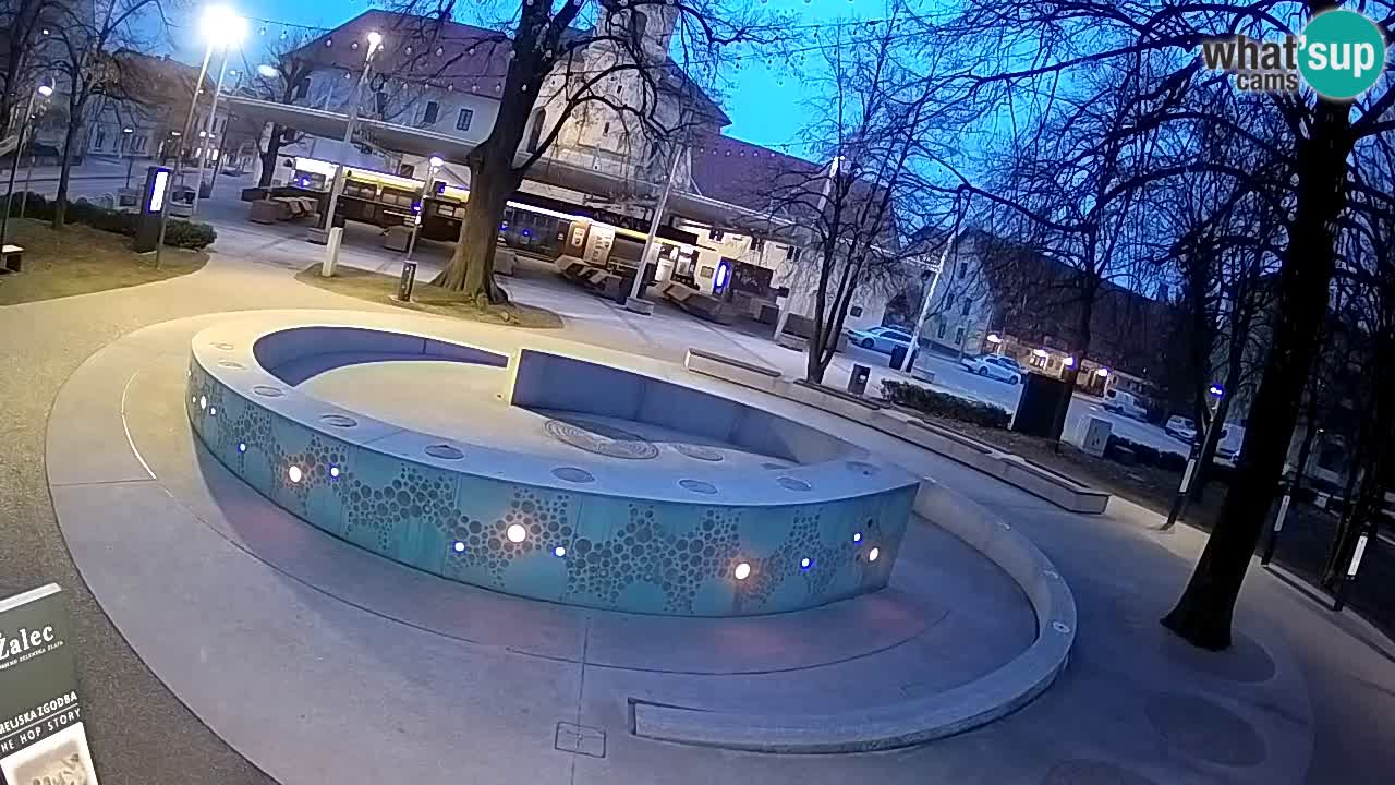 Fontana di birra Webcam – Oro verde – Žalec