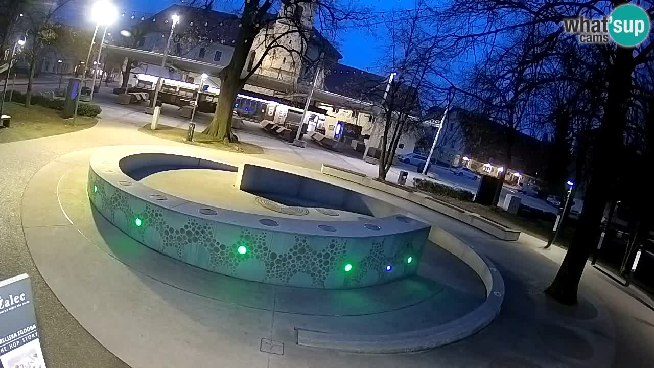 Fontaine à bière LIVE webcam – Or vert – Žalec