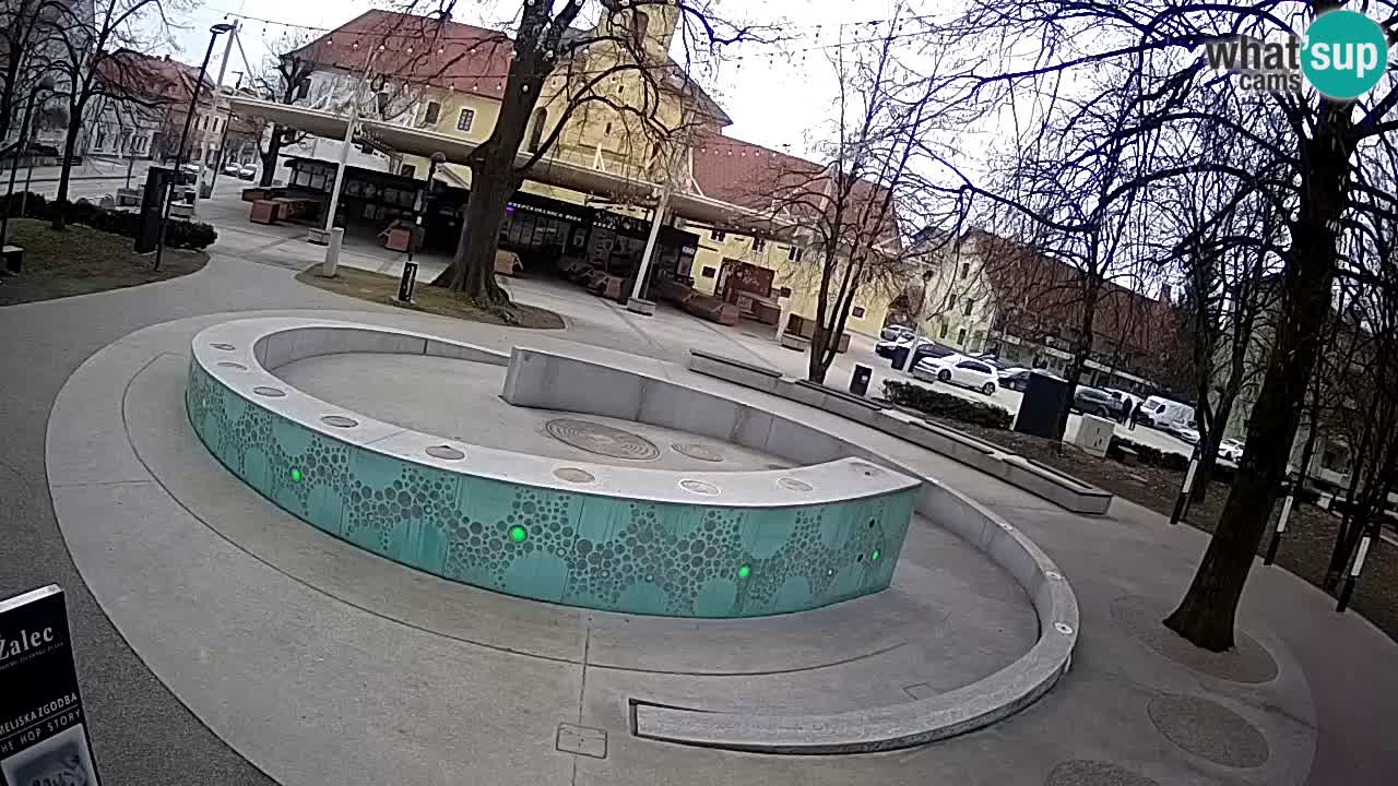 Web kamera Fontana piva – Zeleno zlato – Žalec