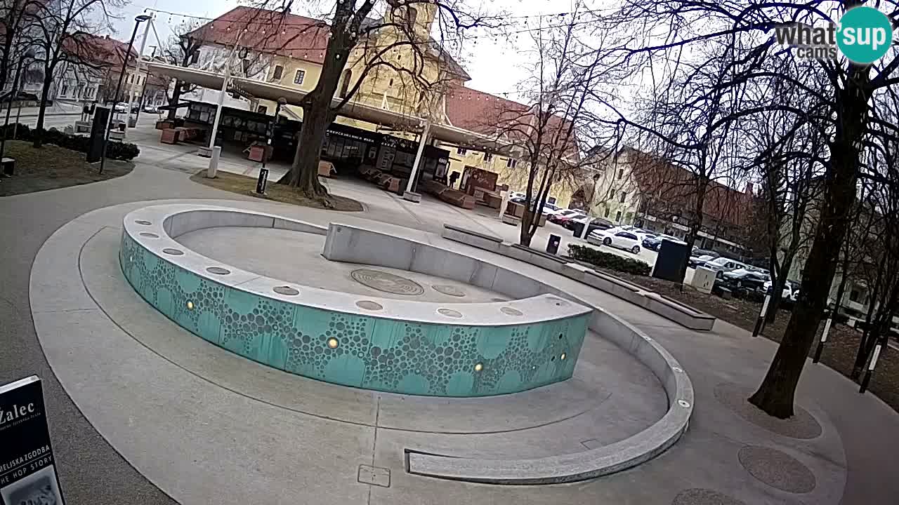 Fontaine à bière LIVE webcam – Or vert – Žalec
