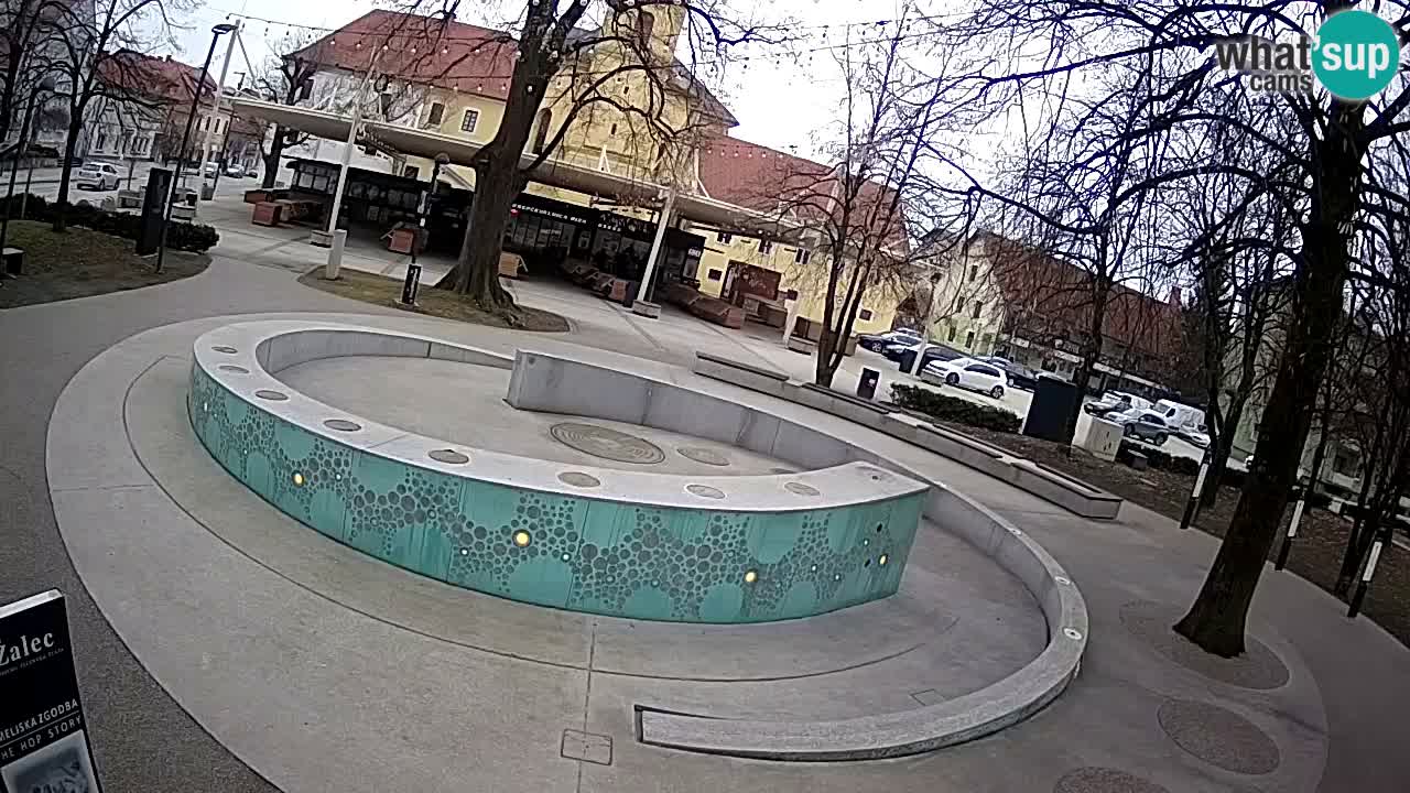 Web kamera Fontana piva – Zeleno zlato – Žalec