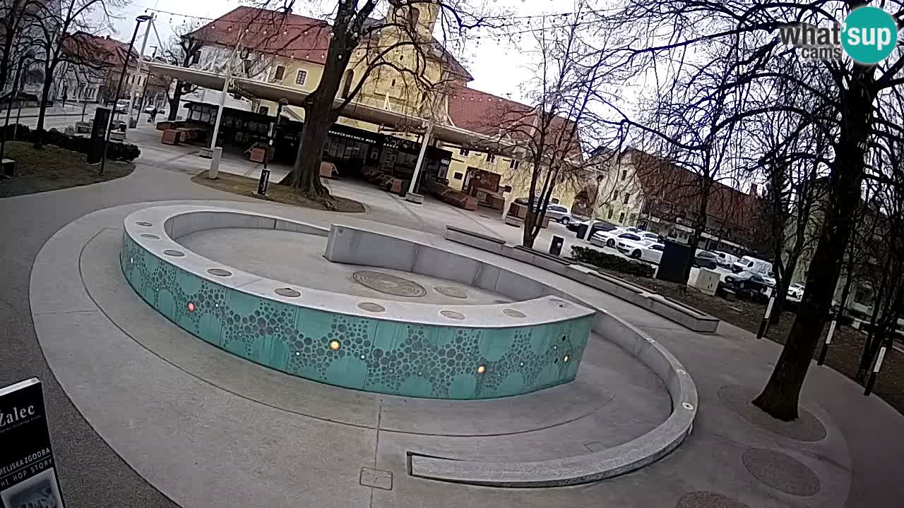 Fontana di birra Webcam – Oro verde – Žalec