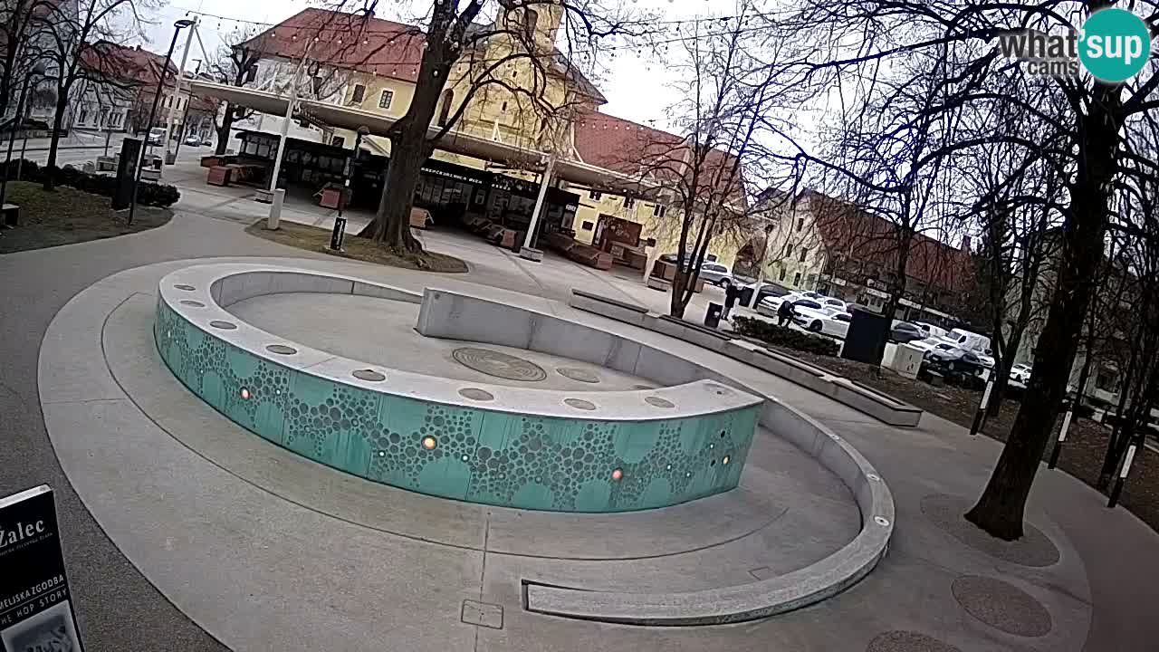 Web kamera Fontana piva – Zeleno zlato – Žalec