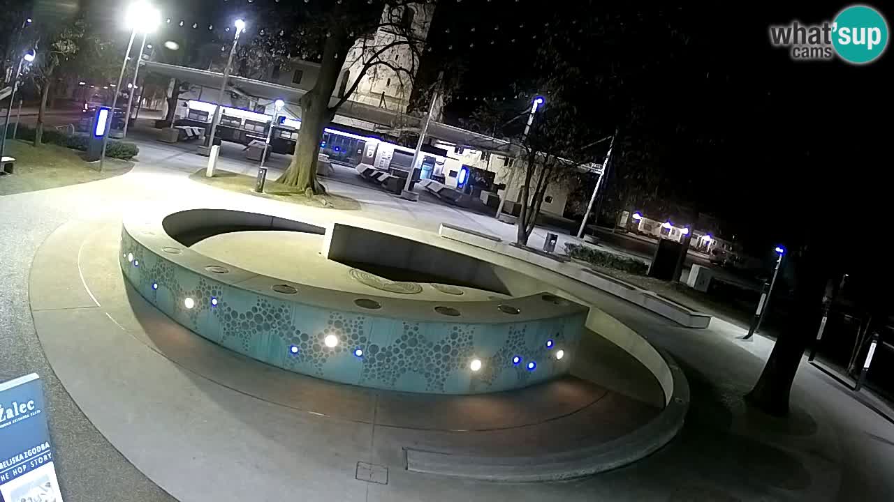 Fontana di birra Webcam – Oro verde – Žalec