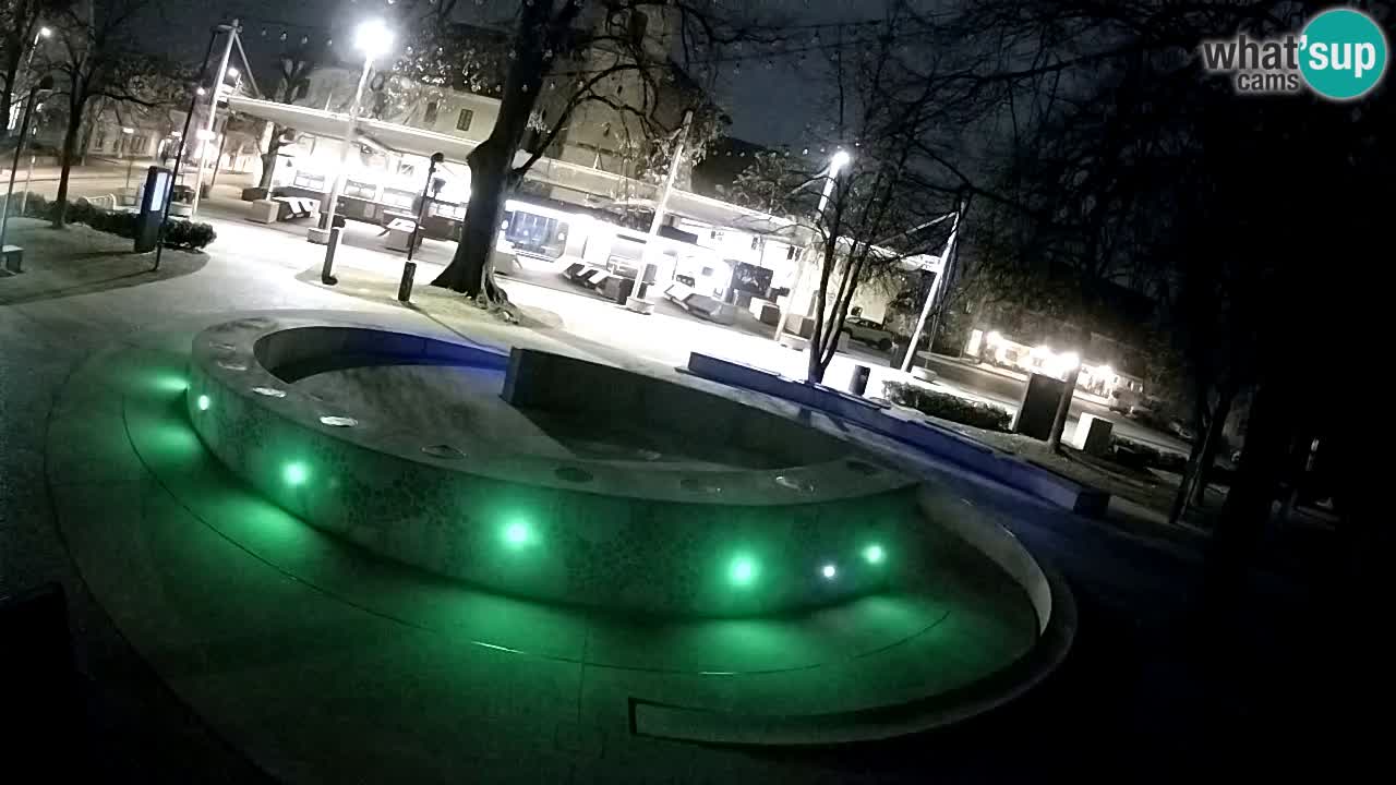 Fontana di birra Webcam – Oro verde – Žalec