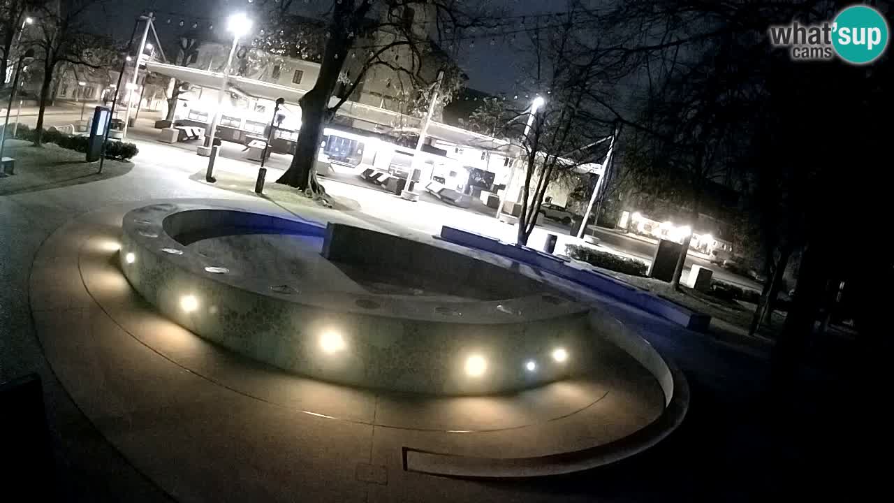 Bier-Springbrunnen Webcam Žalec – Grünen Goldes