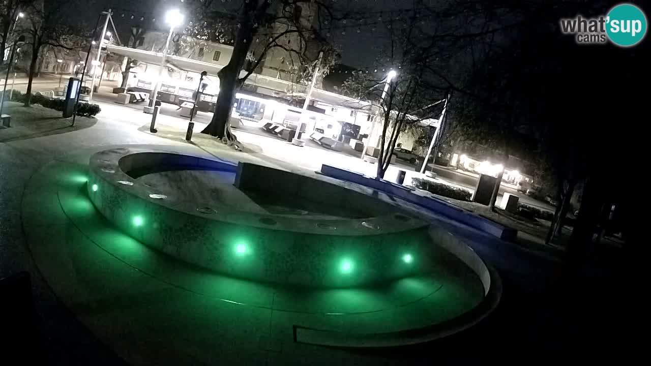 Fontana di birra Webcam – Oro verde – Žalec