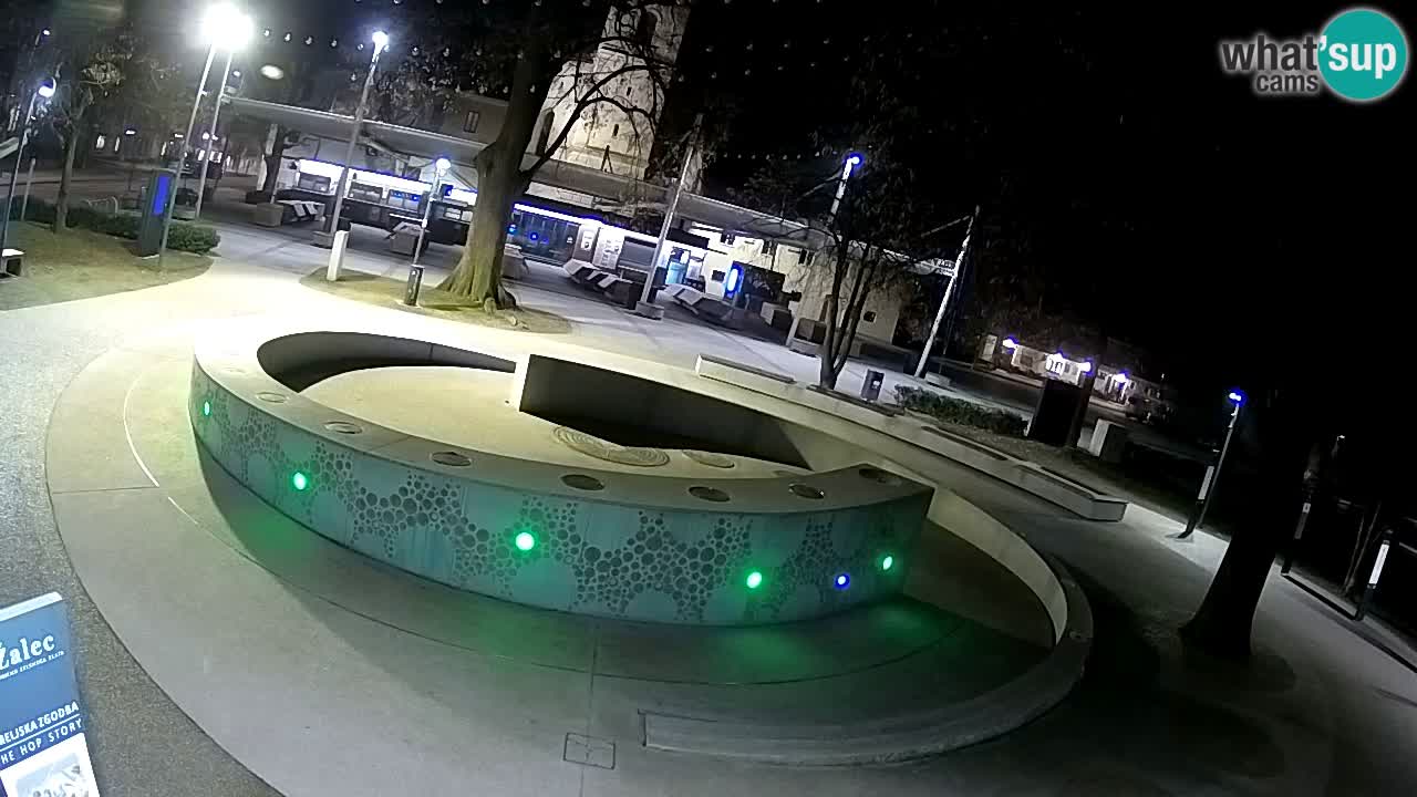 Bier-Springbrunnen Webcam Žalec – Grünen Goldes