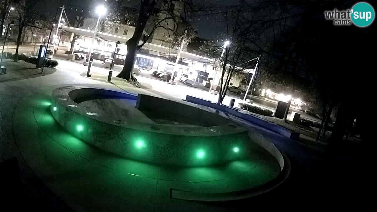 Fontaine à bière LIVE webcam – Or vert – Žalec