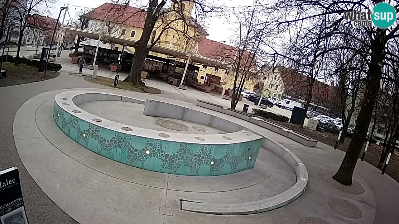 Bier-Springbrunnen Webcam Žalec – Grünen Goldes