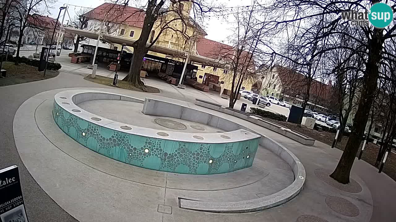 Fontana di birra Webcam – Oro verde – Žalec