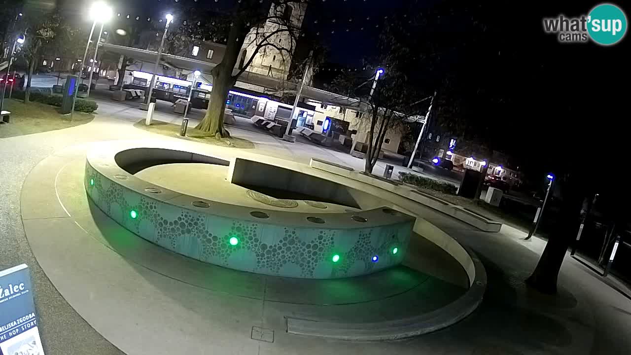 Fontana di birra Webcam – Oro verde – Žalec
