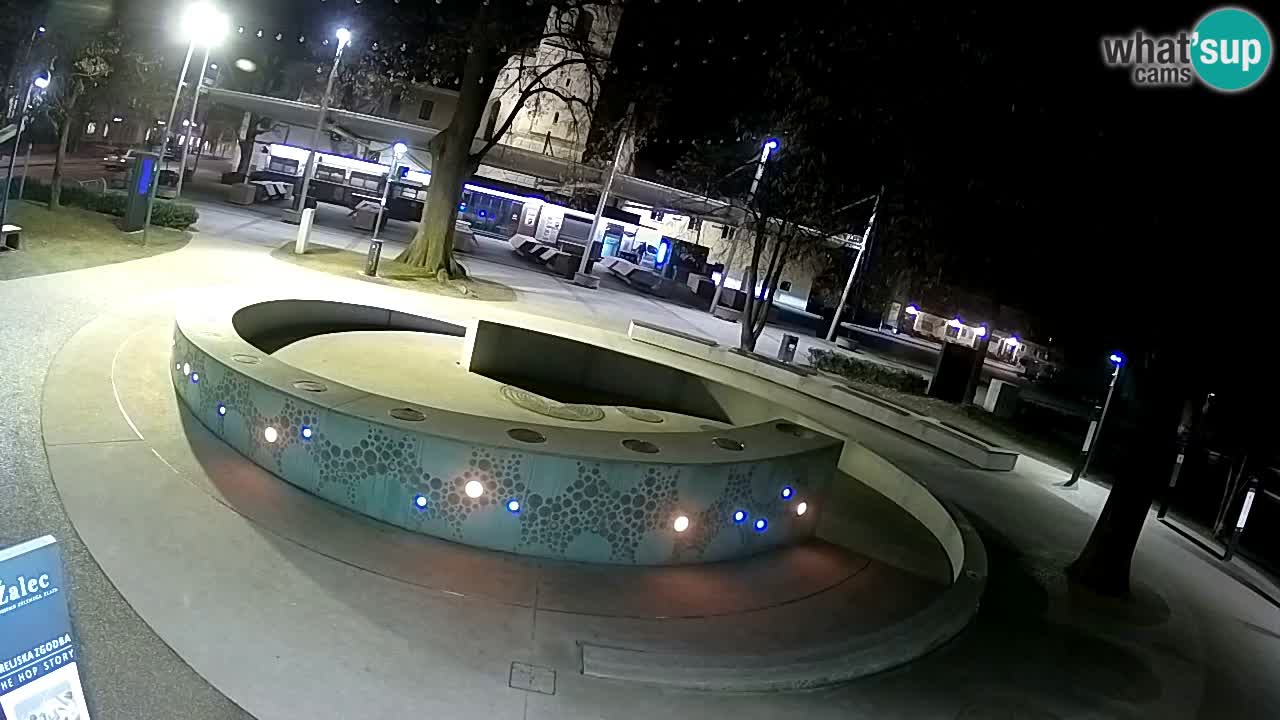 Web kamera Fontana piva – Zeleno zlato – Žalec