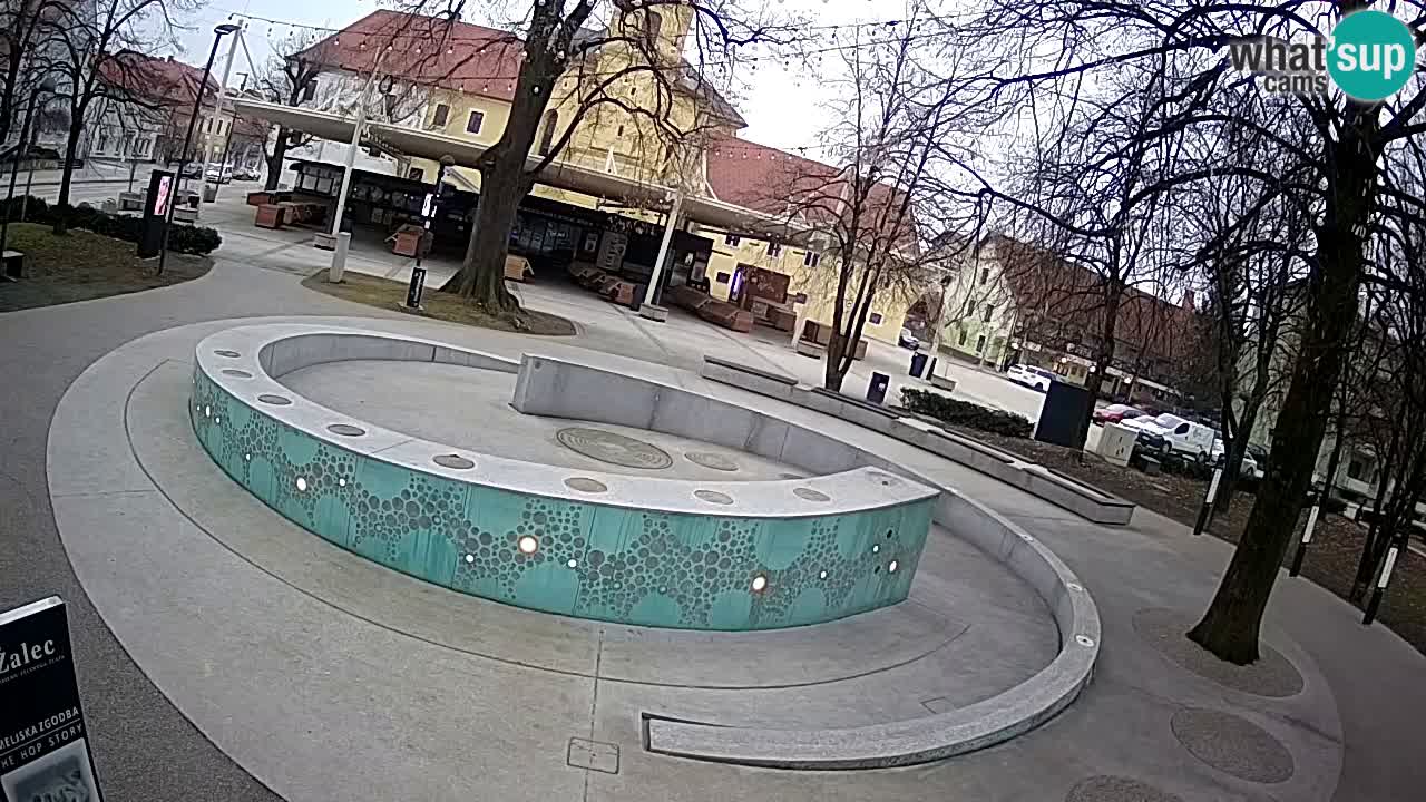 Fontaine à bière LIVE webcam – Or vert – Žalec