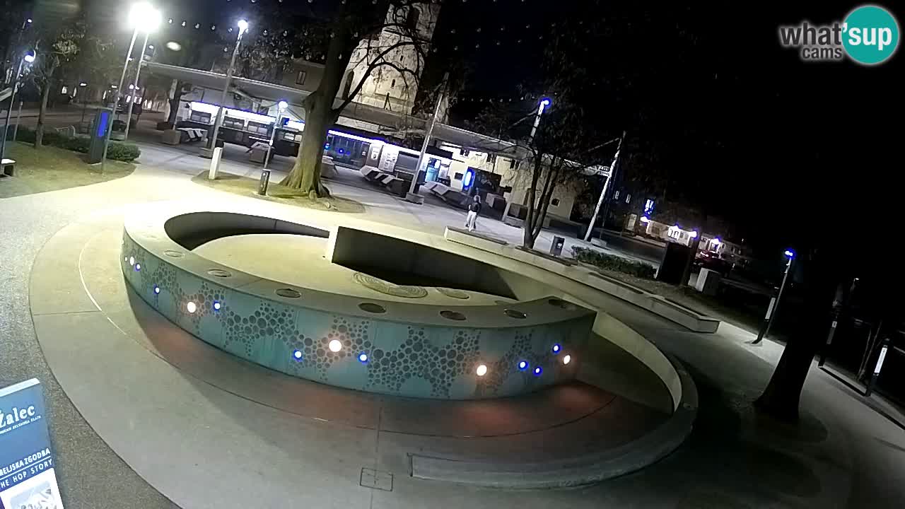 Bier-Springbrunnen Webcam Žalec – Grünen Goldes