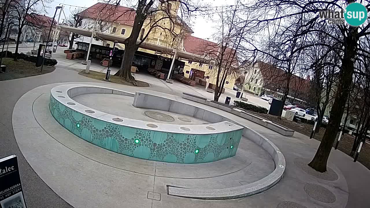 Fontana di birra Webcam – Oro verde – Žalec