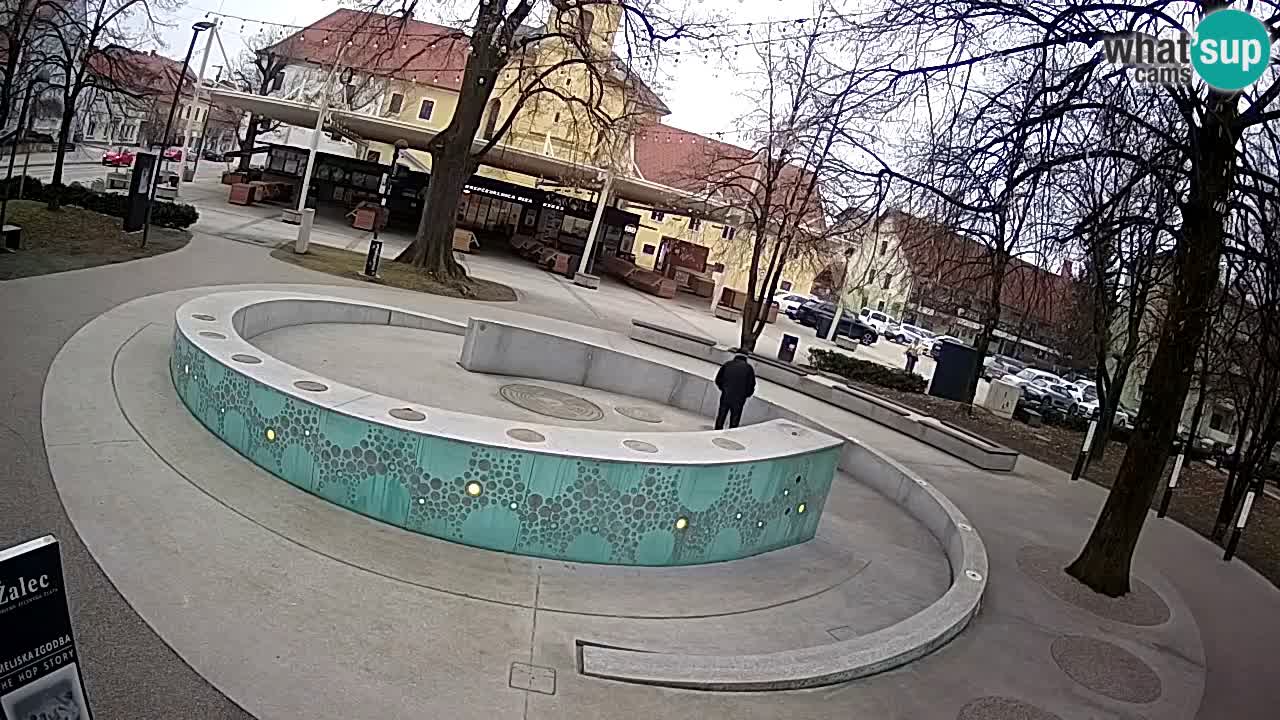 Fontaine à bière LIVE webcam – Or vert – Žalec