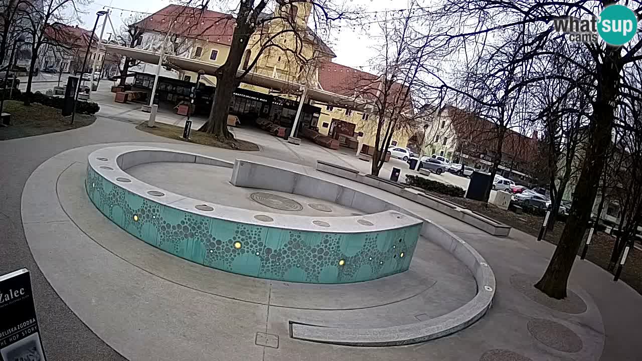Fontana di birra Webcam – Oro verde – Žalec