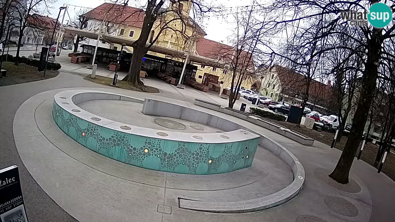 Web kamera Fontana piva – Zeleno zlato – Žalec