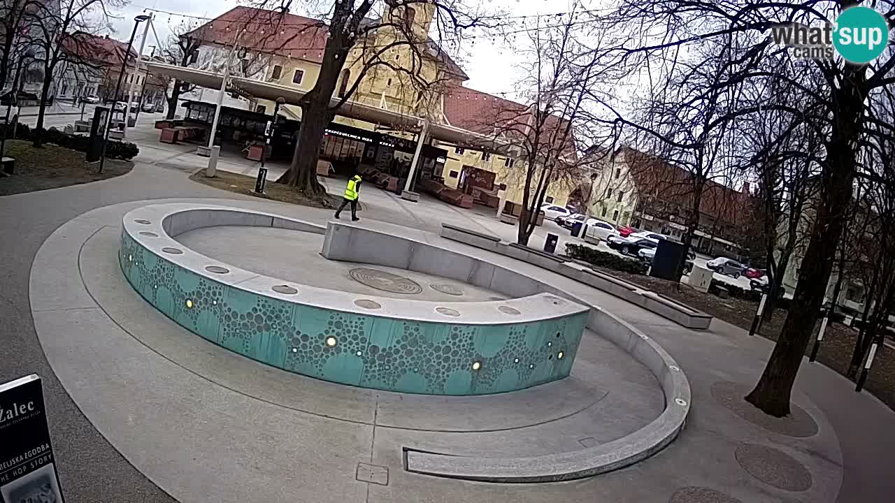 Web kamera Fontana piva – Zeleno zlato – Žalec