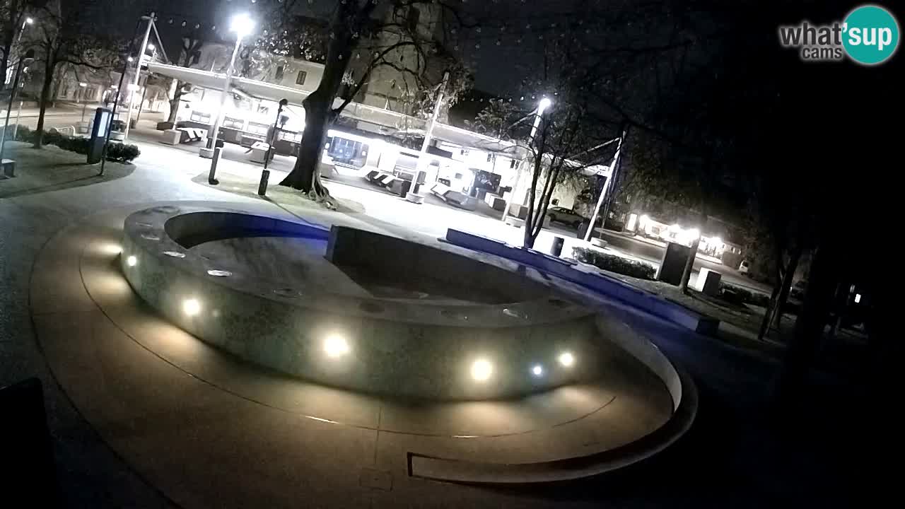 Web kamera Fontana piva – Zeleno zlato – Žalec