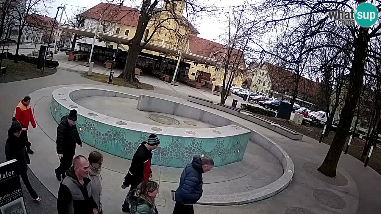 LIVEcam Beer fountain – Green Gold – Žalec – Slovenia