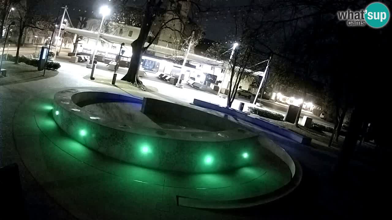 Camera en vivo Fuente de cerveza – Oro verde – Žalec