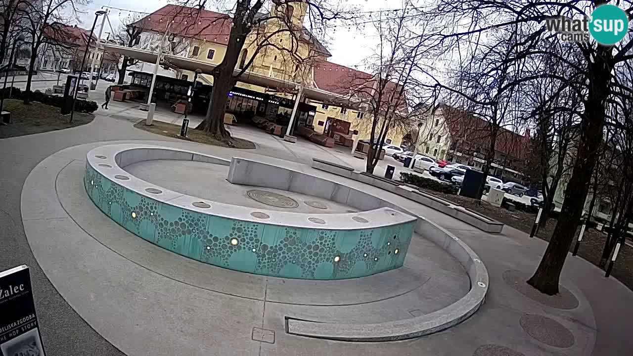 Camera en vivo Fuente de cerveza – Oro verde – Žalec