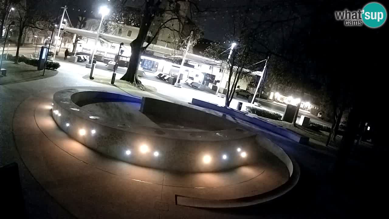 Fontana di birra Webcam – Oro verde – Žalec