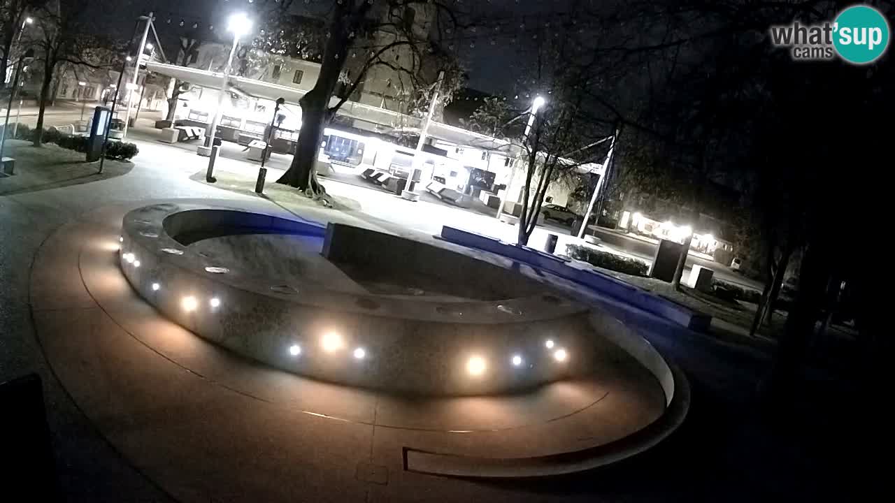 Fontana di birra Webcam – Oro verde – Žalec
