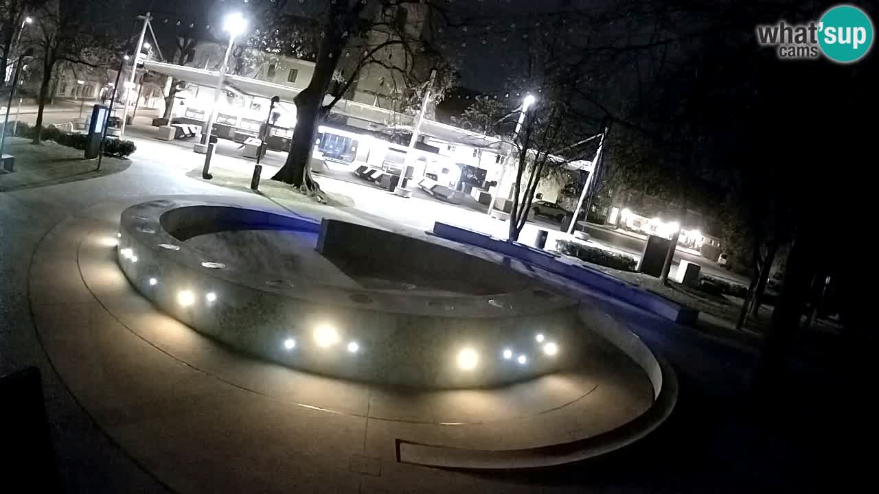 Fontaine à bière LIVE webcam – Or vert – Žalec