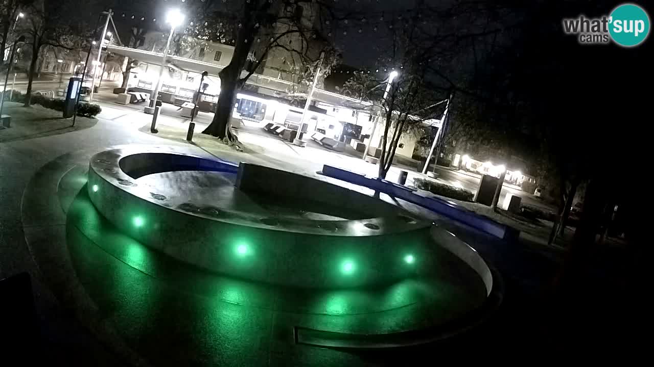 Fontaine à bière LIVE webcam – Or vert – Žalec