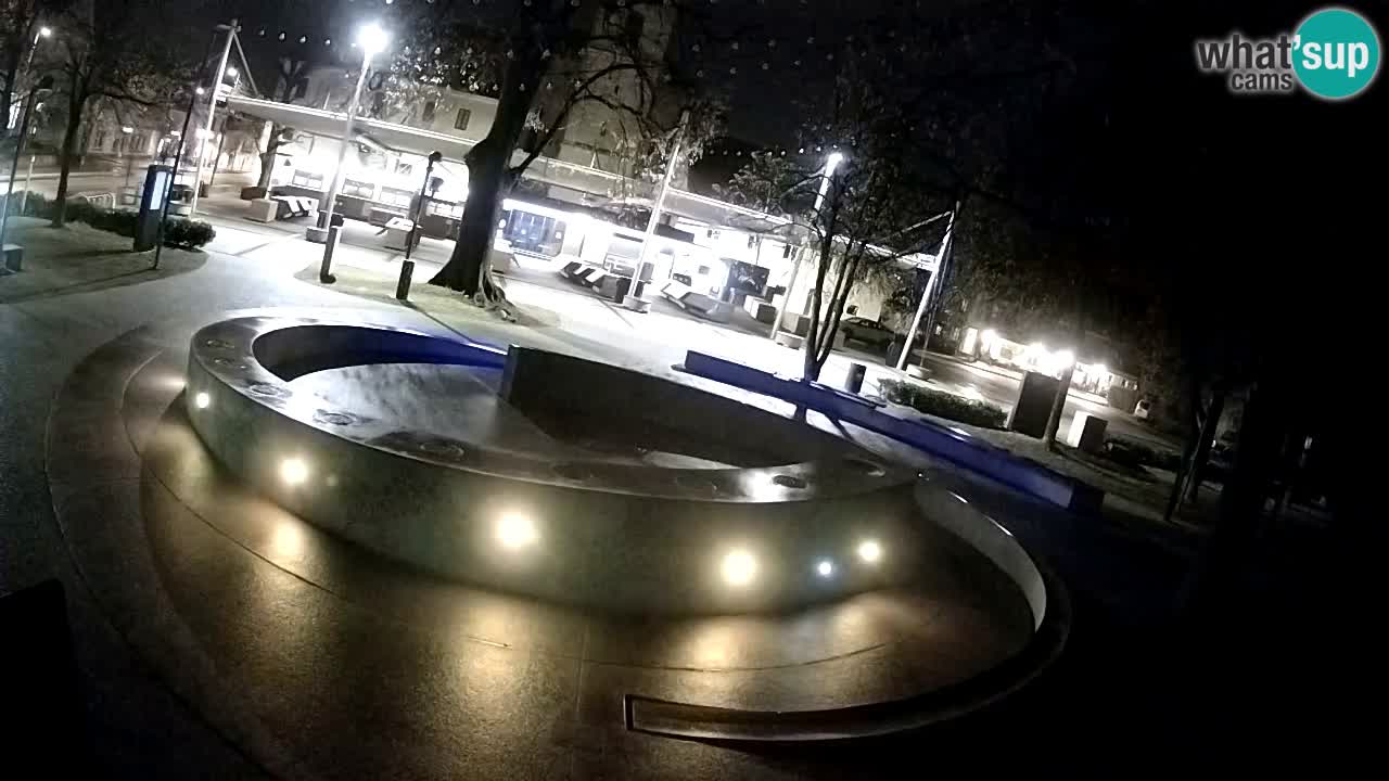 Fontana di birra Webcam – Oro verde – Žalec