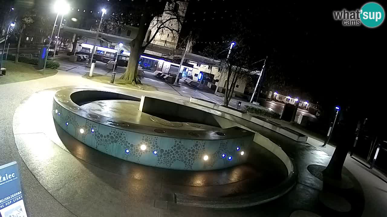 Fontana di birra Webcam – Oro verde – Žalec