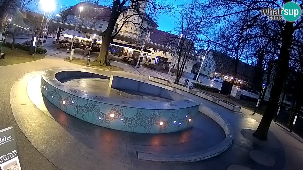 Bier-Springbrunnen Webcam Žalec – Grünen Goldes