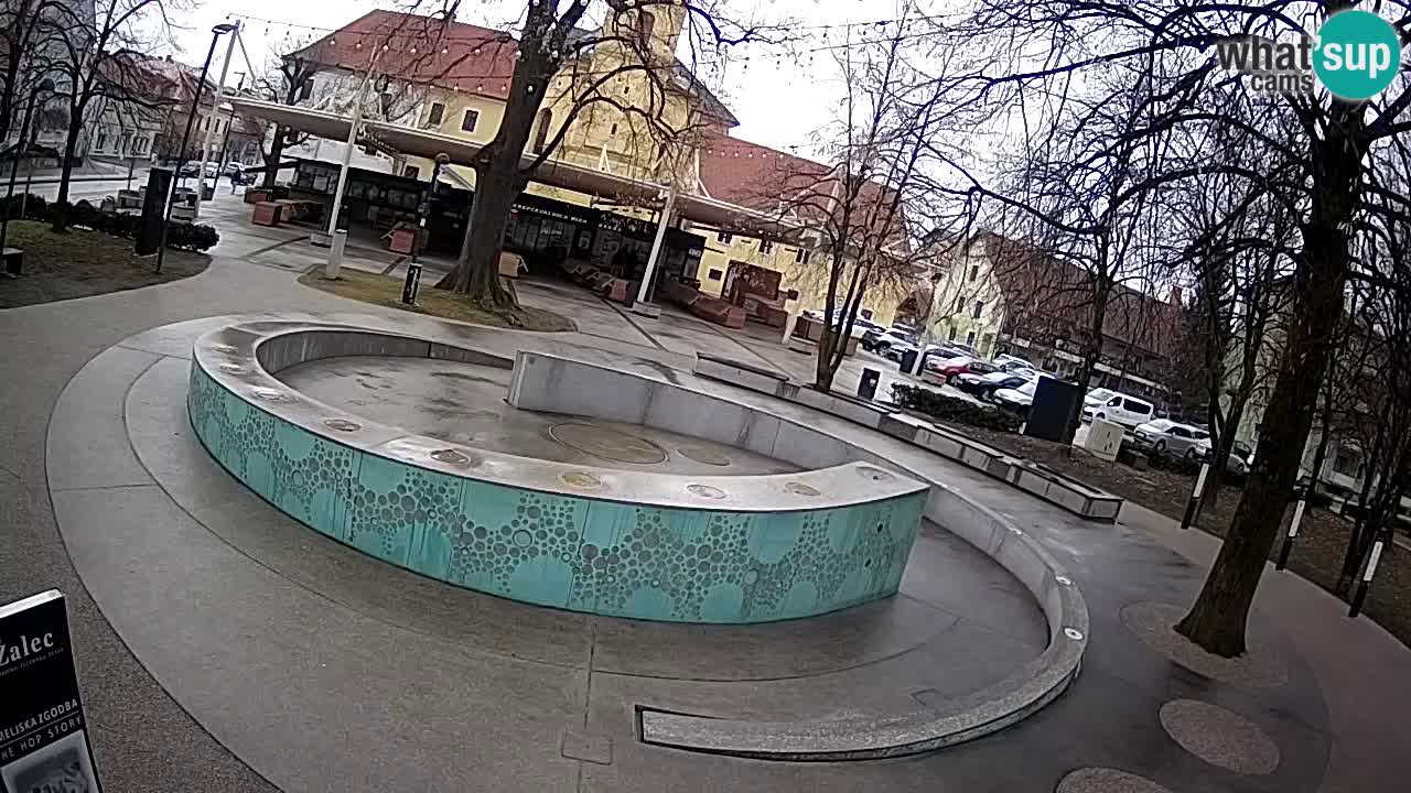 Spletna kamera Fontana Piv – Zeleno zlato Žalec