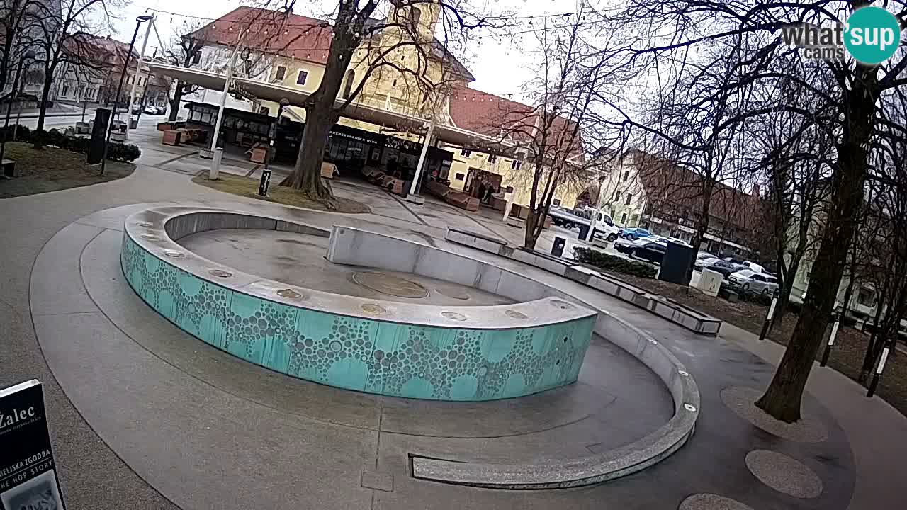 Spletna kamera Fontana Piv – Zeleno zlato Žalec