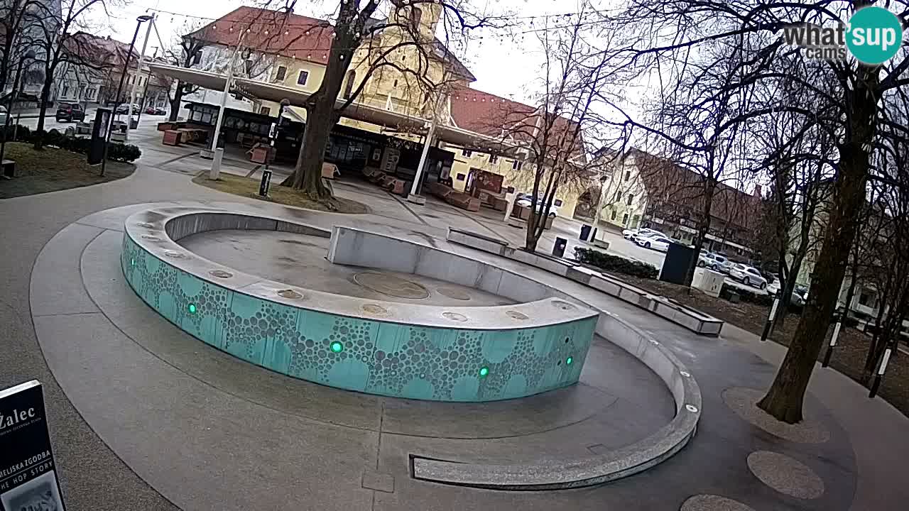 Bier-Springbrunnen Webcam Žalec – Grünen Goldes