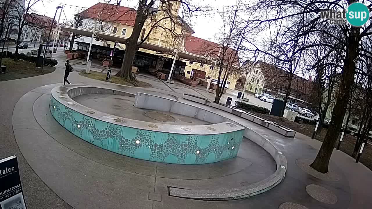 Camera en vivo Fuente de cerveza – Oro verde – Žalec