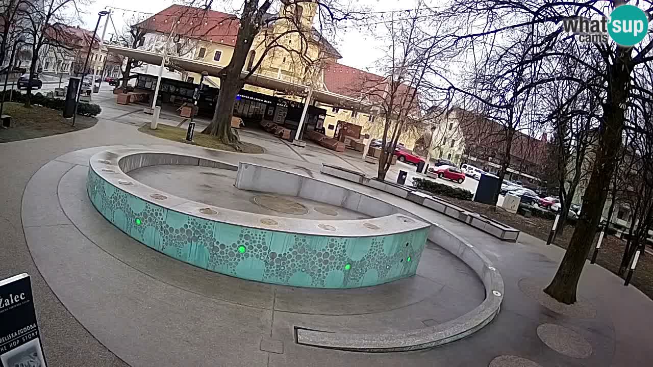 Web kamera Fontana piva – Zeleno zlato – Žalec